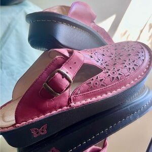 Alegria Classic Berry
Burnish Breezy
🦋Alegria Classic Clog🦋